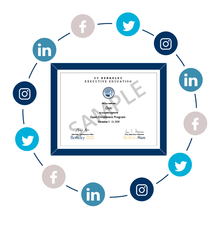 certificate-social-iconsArtboard 2